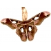 Rothschildia lebeau inca 15 eggs